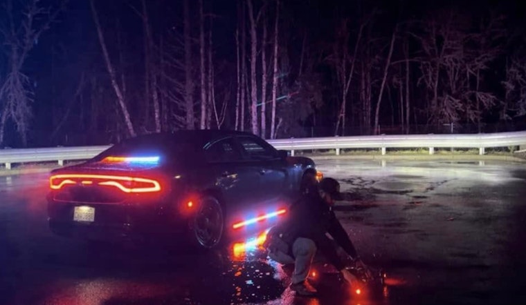 Alleged Car Thief Rescued from Tree After Chase Ends on Olympia Cliffside