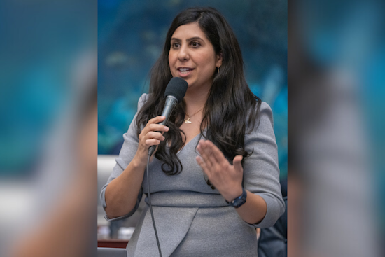 Anna V. Eskamani Announces Bid for Orlando Mayor, Poised to Succeed Buddy Dyer
