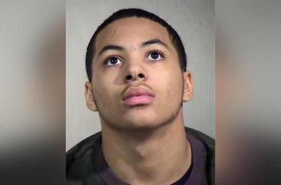 Arizona Man Sentenced to 13 Years for 2019 Murder of Aunt in Chandler