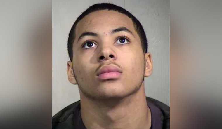Arizona Man Sentenced to 13 Years for 2019 Murder of Aunt in Chandler