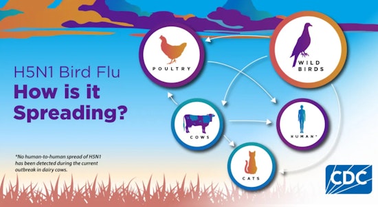Arizona Reports First Human Cases of H5 Avian Influenza in Pinal County Amidst Tightened Biosecurity Measures