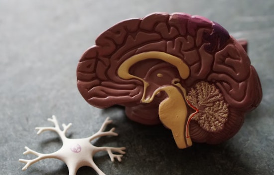 Arizona's Unseen Caregivers: The Tug-of-War Duty in a State Battling the Surge of Alzheimer's