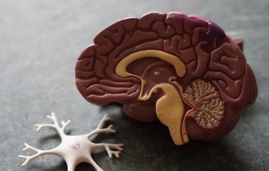 Arizona's Unseen Caregivers: The Tug-of-War Duty in a State Battling the Surge of Alzheimer's