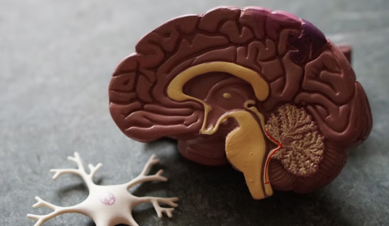 Arizona's Unseen Caregivers: The Tug-of-War Duty in a State Battling the Surge of Alzheimer's