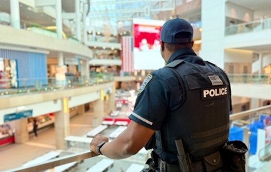 Arlington County Police Step Up Patrols Amid Rise in Holiday Shopping Thefts