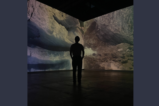 Arlington Museum of Art Vies for "Best New Museums of 2025" in USA Today's Prestigious List