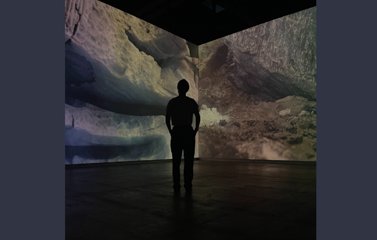 Arlington Museum of Art Vies for "Best New Museums of 2025" in USA Today's Prestigious List