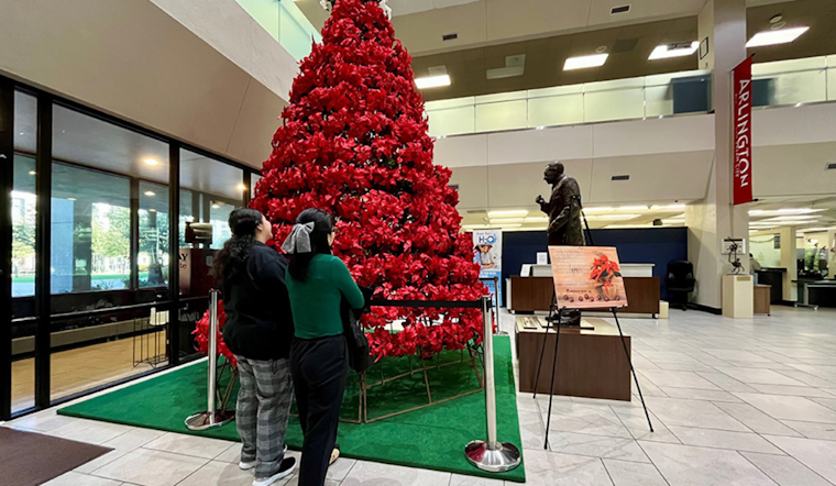 Arlington's Vandergriff Family Continues Festive Legacy with Iconic Poinsettia Tree at City Hall