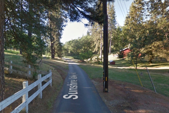 Armed Robbers Hold Workers at Gunpoint, Steal $150K Worth of Cannabis from Grass Valley Farm