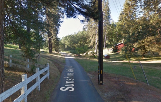 Armed Robbers Hold Workers at Gunpoint, Steal $150K Worth of Cannabis from Grass Valley Farm