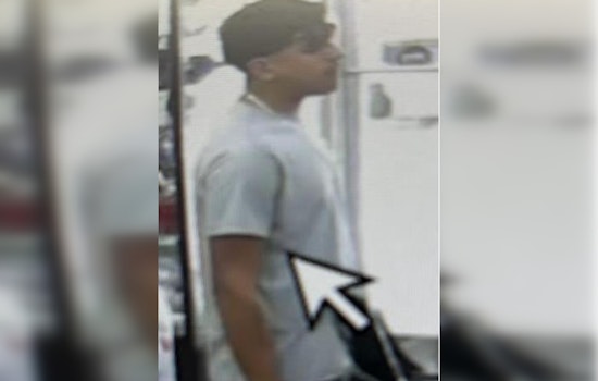 Austin Police Seek Public's Help in Locating Suspect in Research Boulevard Hit-and-Run