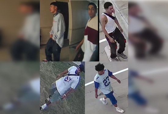 Austin Police Seek Tips on Suspected Armed Assault Perpetrators Following Home Burglary on Exchange Drive