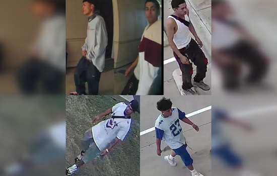 Austin Police Seek Tips on Suspected Armed Assault Perpetrators Following Home Burglary on Exchange Drive