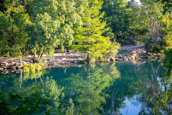 Austin's 10-Year Plan to Cultivate Green Spaces for Future Generations