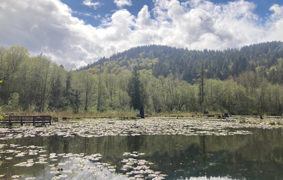 Authorities Seek Witnesses of Capitol State Forest Shooting Involving Centralia Teen