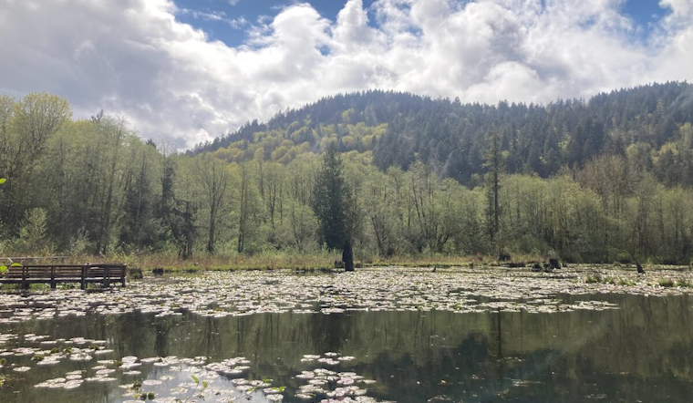 Authorities Seek Witnesses of Capitol State Forest Shooting Involving Centralia Teen