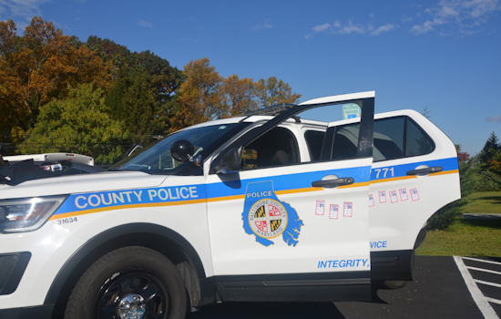 Baltimore County Detectives Seize Untraceable Ghost Gun and Stolen Firearm Modified for Automatic Fire