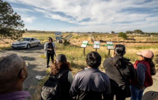 BCDC Adopts Regional Shoreline Adaptation Plan to Combat Climate Change in the Bay Area