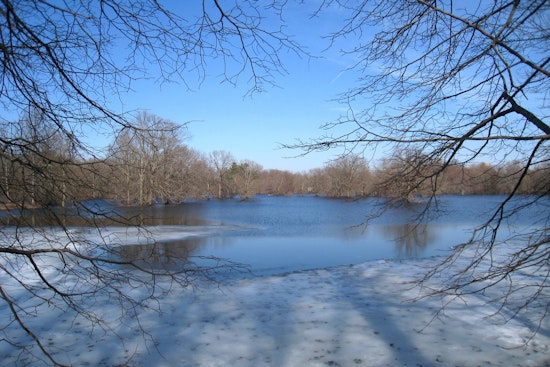 Bedford Officers Heroically Rescue Trio and Dog from Icy Concord River Plunge