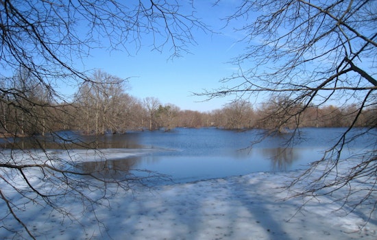 Bedford Officers Heroically Rescue Trio and Dog from Icy Concord River Plunge