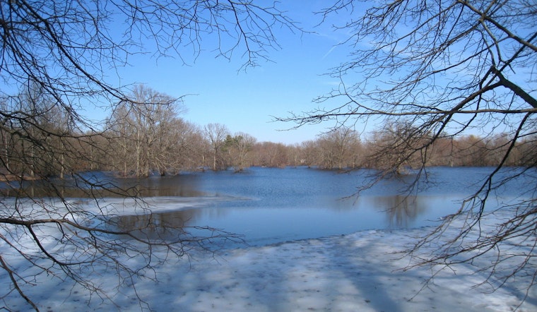 Bedford Officers Heroically Rescue Trio and Dog from Icy Concord River Plunge