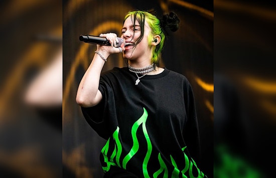 Billie Eilish Perseveres Through Fan Thrown Objects During Emotional Phoenix Concert Performance