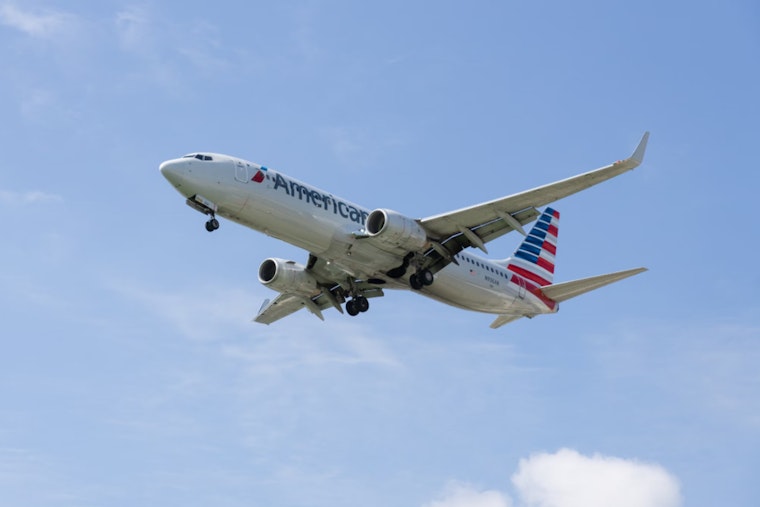 Bird Strike Prompts American Airlines Emergency Landing at JFK, Passengers Safe