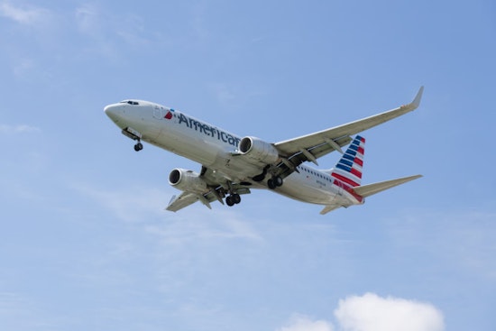 Bird Strike Prompts American Airlines Emergency Landing at JFK, Passengers Safe