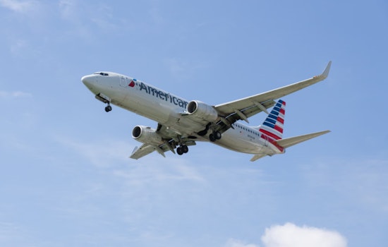 Bird Strike Prompts American Airlines Emergency Landing at JFK, Passengers Safe