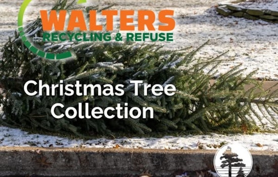 Blaine, Minnesota Offers Convenient Christmas Tree Disposal with Walter's Recycling & Refuse Inc.