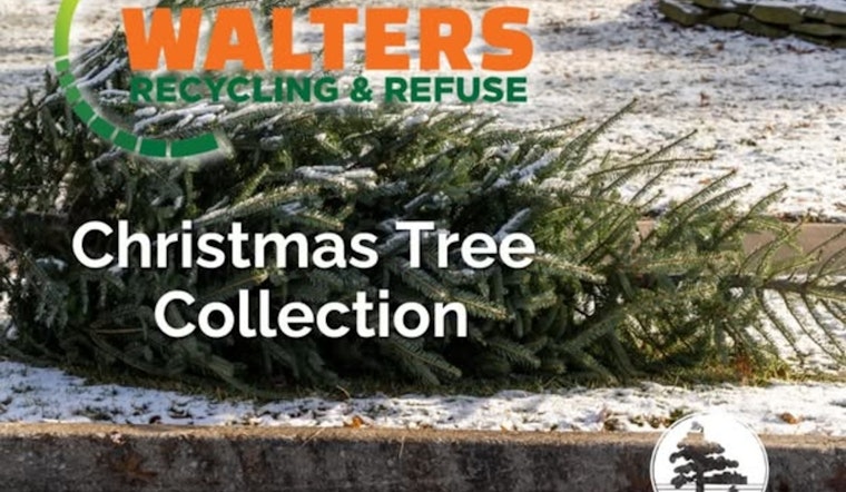 Blaine, Minnesota Offers Convenient Christmas Tree Disposal with Walter's Recycling & Refuse Inc.
