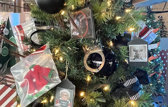 Bloomington Police Department Mixes Holiday Fun with Sleuthing at the Mall of America Festival of Trees