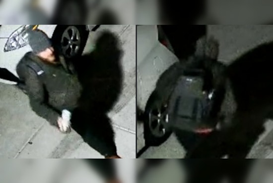 Bloomington Police Seeks Public's Help in Vandalism Case with Suspected Racial, Political Motives