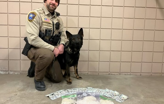 Blue Earth County K9 Murphy Sniffs Out 1.5 Pounds of Meth in Inter-Agency Drug Seizure
