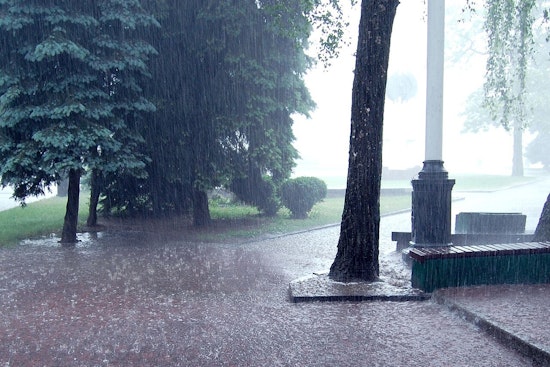 Boston Braces for Wet Start to the Week with Clear Skies Ahead Before New Year's Downpour