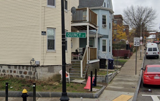 Boston Child Hospitalized and Officer Injured in Separate Dog Attacks in Dorchester