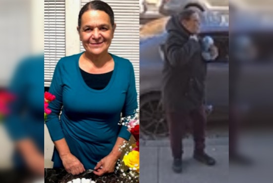 Boston Police Seek Public's Aid in Locating Missing 61-Year-Old Elba Portillo From East Boston