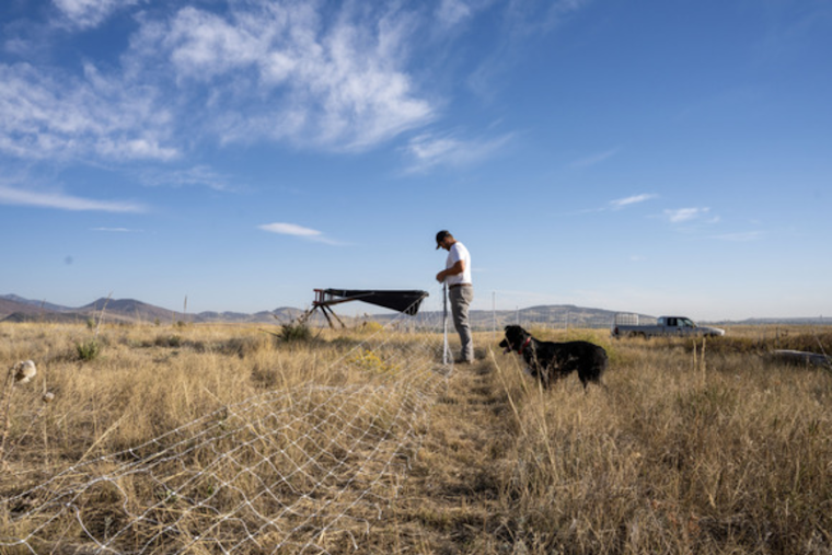 Boulder County's Soil Health Initiative Boosts Regenerative Farming with $1.1 Million in Grants