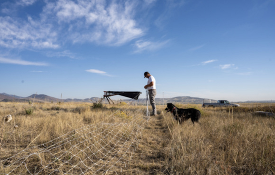 Boulder County's Soil Health Initiative Boosts Regenerative Farming with $1.1 Million in Grants