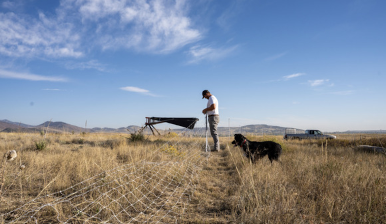 Boulder County's Soil Health Initiative Boosts Regenerative Farming with $1.1 Million in Grants