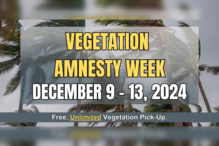 Boynton Beach Announces Free Vegetation Disposal During Week-Long Amnesty Program