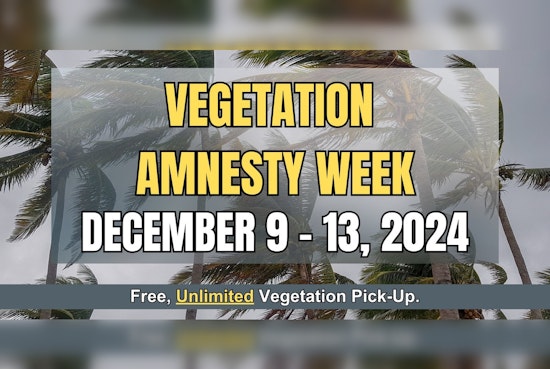 Boynton Beach Announces Free Vegetation Disposal During Week-Long Amnesty Program