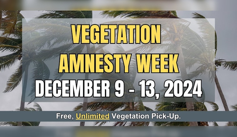 Boynton Beach Announces Free Vegetation Disposal During Week-Long Amnesty Program