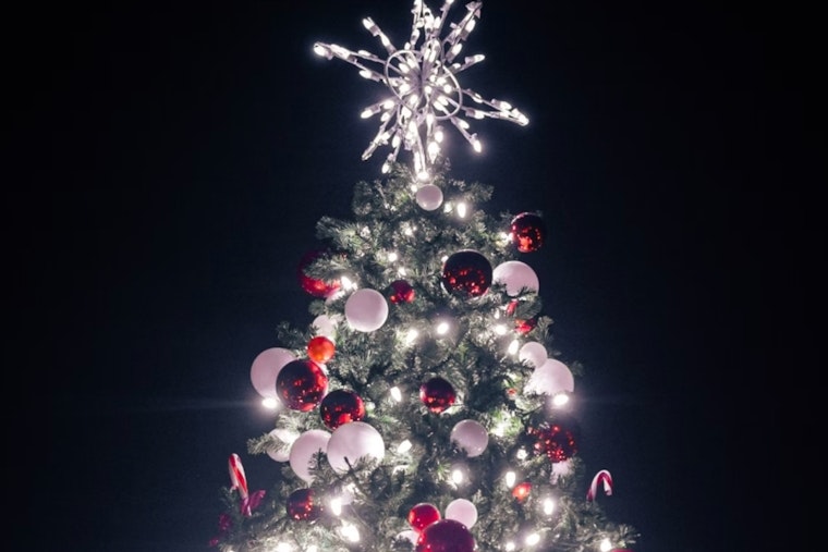 Brooklyn’s Park Slope Ignites Holiday Cheer with 15th Annual Tree Lighting Amidst Small Business Saturday
