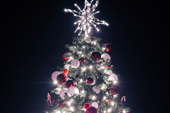 Brooklyn’s Park Slope Ignites Holiday Cheer with 15th Annual Tree Lighting Amidst Small Business Saturday