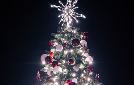 Brooklyn’s Park Slope Ignites Holiday Cheer with 15th Annual Tree Lighting Amidst Small Business Saturday
