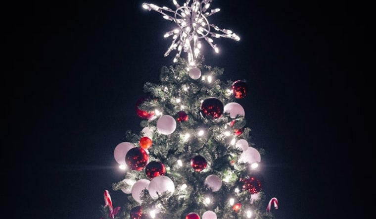 Brooklyn’s Park Slope Ignites Holiday Cheer with 15th Annual Tree Lighting Amidst Small Business Saturday