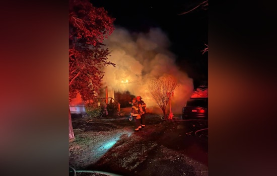 CAL FIRE & Local Crews Contain Placer County Blaze, Three Pets Lost