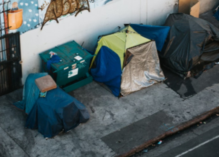 California Reports Efficacy in Curbing Homelessness Growth Contrasted with National Surge, Newsom Cites Progress and Ongoing Efforts