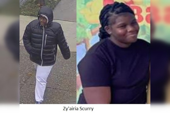 Camden County Police Seek Help to Find Missing 14-Year-Old Zy’airia Scurry from Whitman Park Area